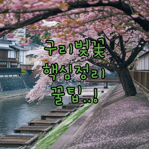 구리 벚꽃 명소 추천 및 대중교통 이용 방법과 방문 팁
