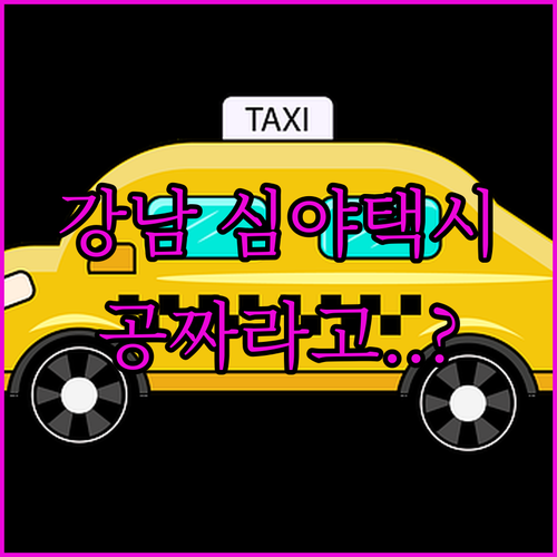 강남 심야 자율주행 택시 이용 방법 요금 구간 총정리