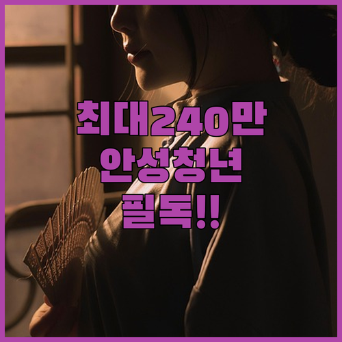 2026 안성시 청년월세지원 최대 240만 원 혜택 정보