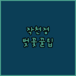 image b2cf92fe