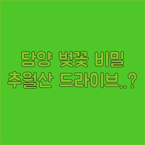 담양 벚꽃 여행 코스 및 추월산 드라이브 구간 정보