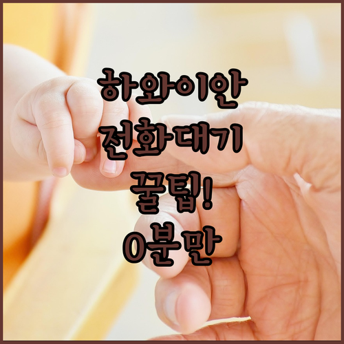 하와이안 항공 고객센터 전화 대기 시간 줄이기