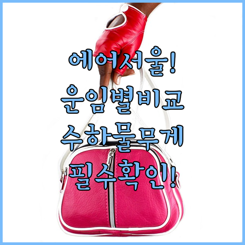 에어서울 운임 타입별 수하물 무게 비교