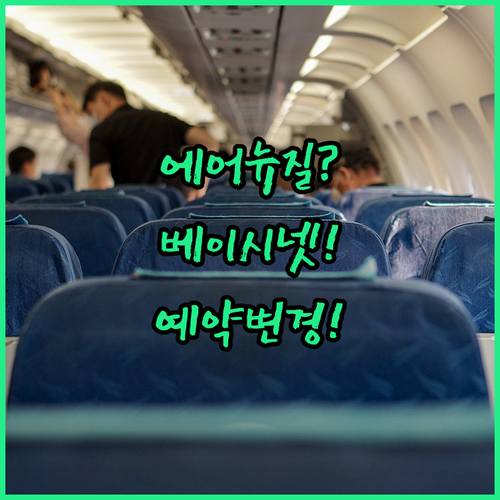 에어 뉴질랜드 베이시넷 좌석 예약 및 변경 방법