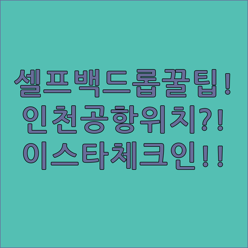 인천공항 이스타항공 체크인 위치 및 셀프백드롭 활용 팁