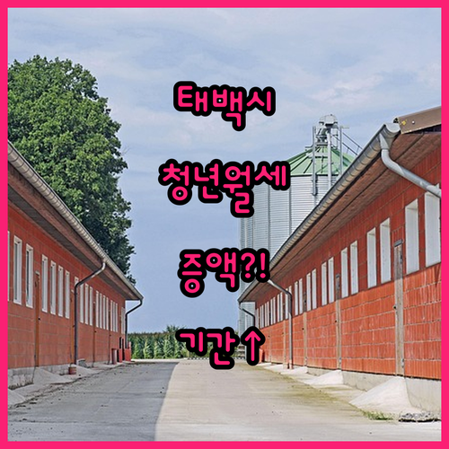 태백시 청년월세지원 변경된 지원금액과 기간