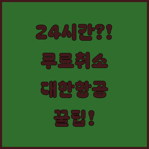 예약 후 24시간 이내 무료 취소 대한항공 규정