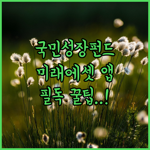 국민성장펀드 가입 방법 | 미래에셋증권 앱 활용 및 투자 유의사항