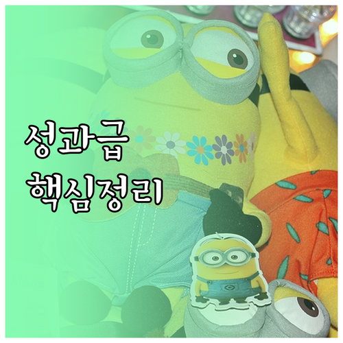 image 1d311862