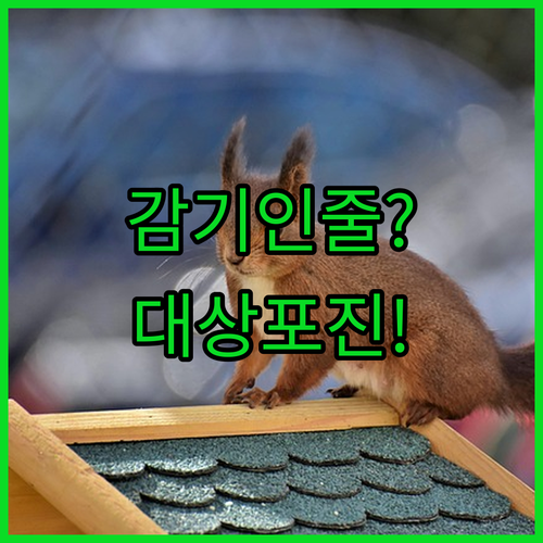 image 3dd5edf8