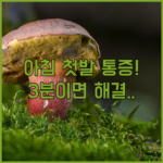image 6ca5afe0