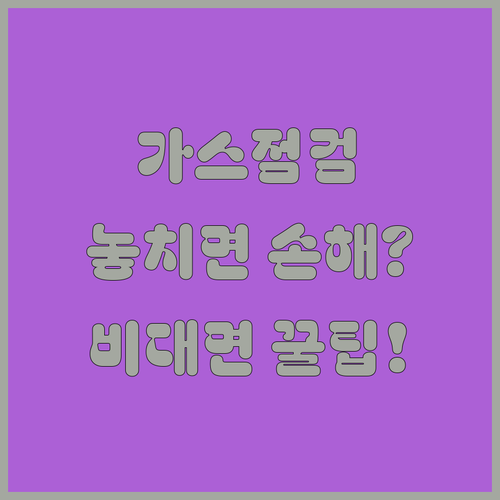 우리 집 도시가스 정기 점검 일정 조회 및 비대면 서비스