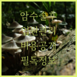 image b5995632