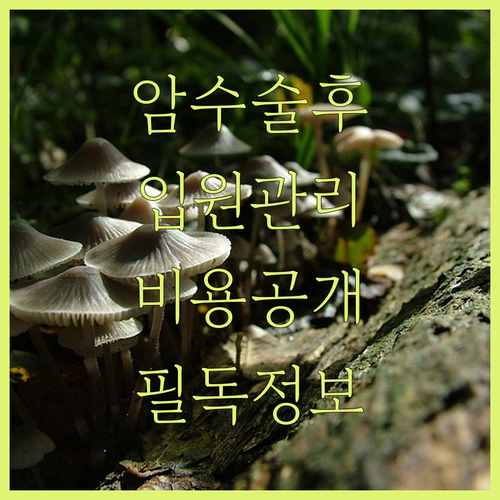 image b5995632