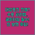 image b6b586ab