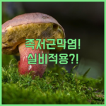image c16d2c29