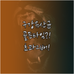 image fe08fe6f